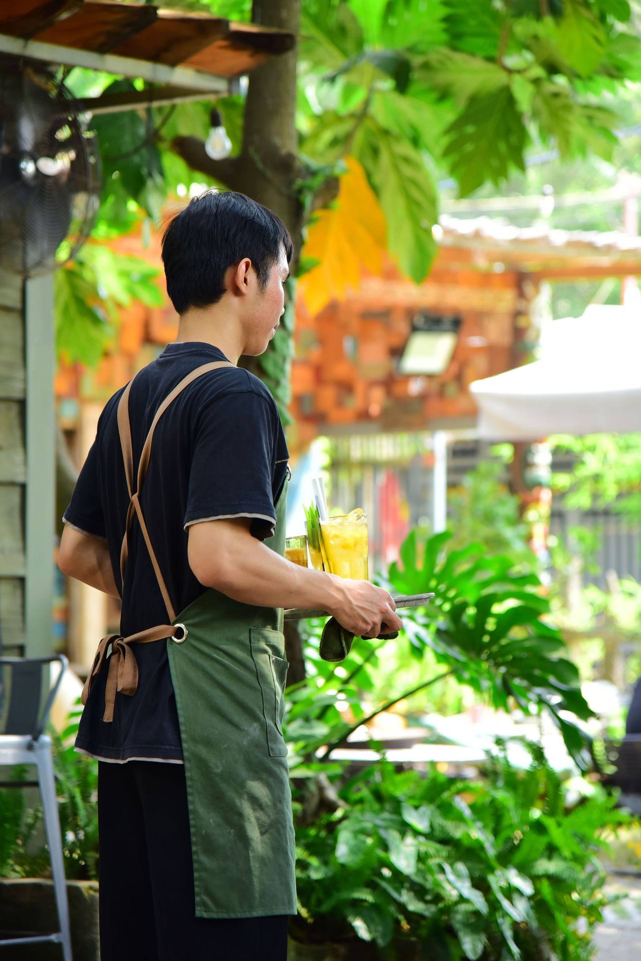 Người đàn ông đeo tạp dề xanh, chụp từ phía sau, cầm khay nước giữa khu vườn cây xanh